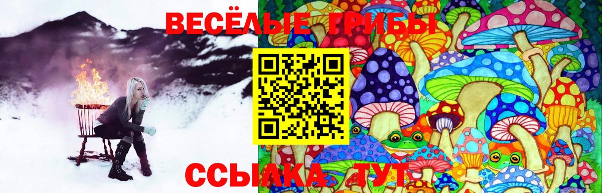 Галлюциногенные грибы прущие грибы Сатка